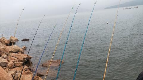 最新钓鱼视频,视频教你轻松钓大鱼