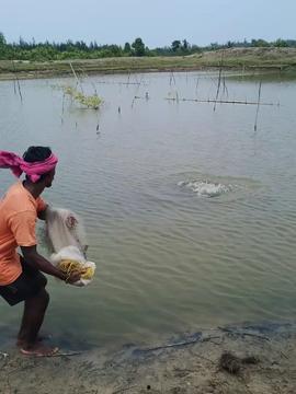 最新钓鱼视频,视频教你轻松钓大鱼