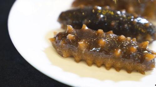 海参的做法视频,视频详解海参美味制作过程