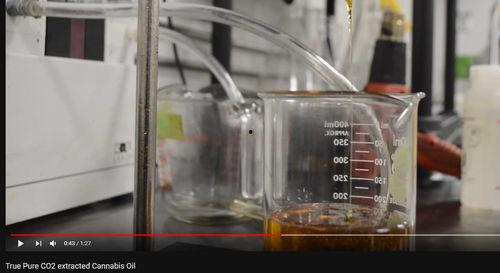 萃取视频,萃取技术原理与应用全解析