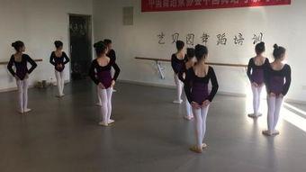 舞蹈视频八级,八级舞蹈艺术的魅力演绎