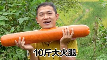 刘大瓜今日视频,娱乐圈幕后真相大曝光！