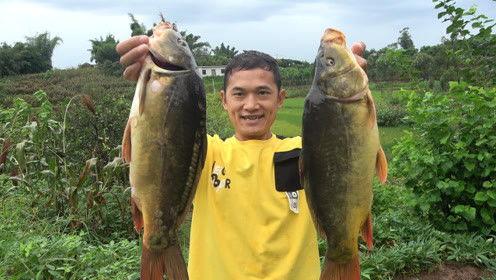 刘大瓜今日视频,娱乐圈幕后真相大曝光！