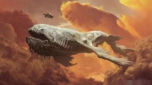 鲲鹏视频,探索科技与艺术的完美融合