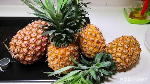 视频菠萝,探寻热带水果的魅力与奥秘