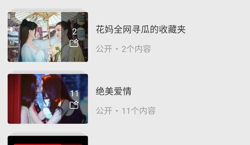 同性在线视频,在线视频中的多元视角与共鸣