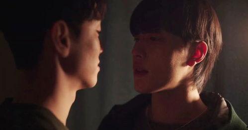 同性在线视频,在线视频中的多元视角与共鸣