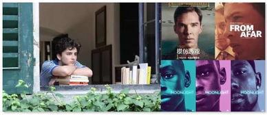 同性在线视频,在线视频中的多元视角与共鸣