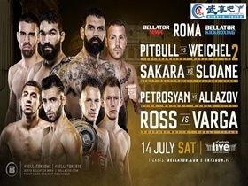 综合格斗视频,激战瞬间，领略搏击魅力