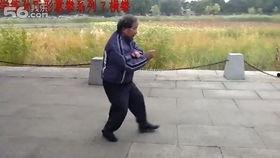 意拳视频,从视频一窥其独特魅力与实战技巧