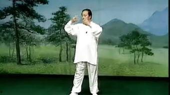 意拳视频,从视频一窥其独特魅力与实战技巧