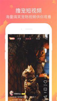 撸啊撸视频下载,轻松获取热门游戏精彩瞬间