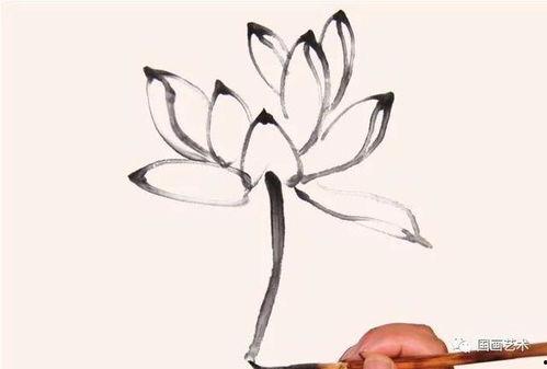 小写意荷花画法视频,小写意技法解析与示范