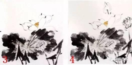 小写意荷花画法视频,小写意技法解析与示范