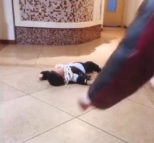 宝宝摔倒视频,温馨记录成长瞬间