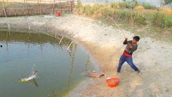 钩鱼视频,揭秘钓鱼技巧与乐趣