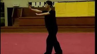 洪拳视频,视频解析传统武术风采