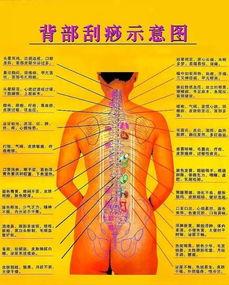 背部刮痧视频,轻松缓解疲劳，焕发健康活力