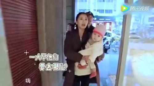 真人秀视频,明星背后的真实生活