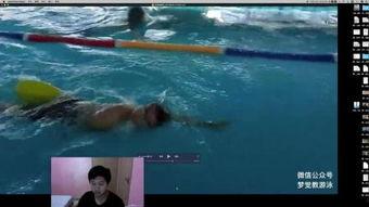 视频游泳,视频揭秘游泳技巧与魅力