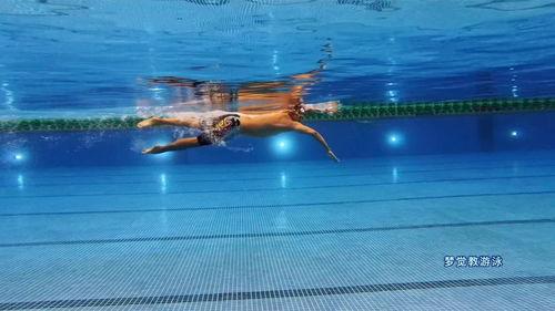 视频游泳,视频揭秘游泳技巧与魅力