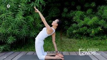 下载瑜伽视频,轻松入门，打造健康生活新篇章