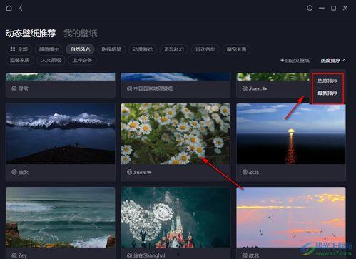 怎么设置视频壁纸,打造个性化桌面背景攻略