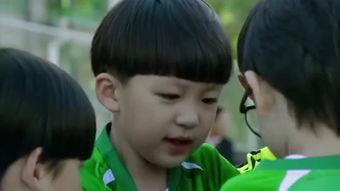 小爸爸视频,育儿路上的温馨与挑战