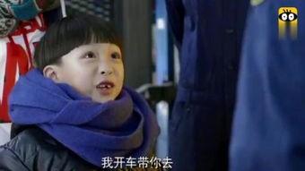 小爸爸视频,育儿路上的温馨与挑战