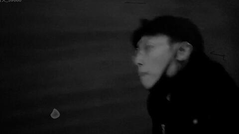 丧视频,丧视频背后的感人故事