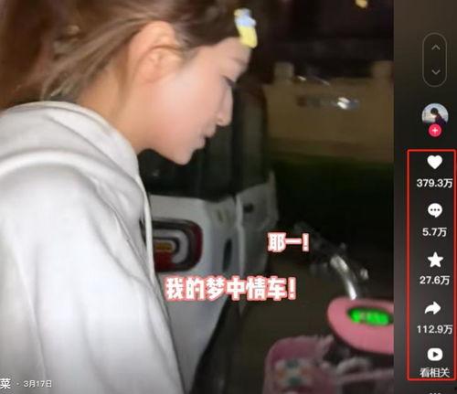 仑视频,揭秘科技前沿，畅游知识海洋