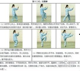 杨氏二十四式太极拳教学视频