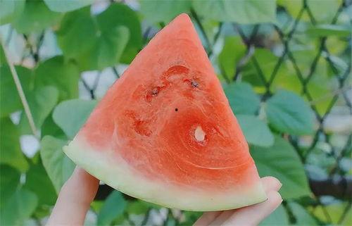 黑瓜能升血糖吗怎么吃的,揭秘其升血糖效果与正确食用方法