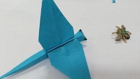 蜻蜓折纸视频,轻盈灵动，探索传统艺术之美