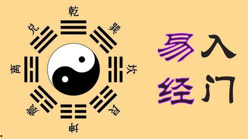 易经视频讲解,揭秘宇宙人生奥秘的古老哲学