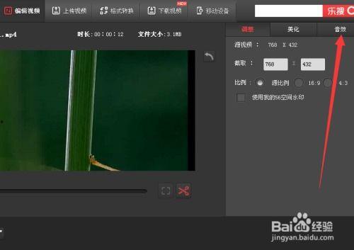 视频加背景,呈现视觉盛宴