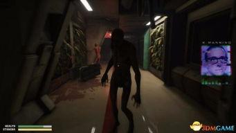 肢解视频,惊悚事件背后的真相与反思