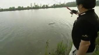 化绍新2013钓鱼视频,揭秘钓鱼高手技巧与心得