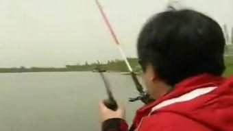 化绍新2013钓鱼视频,揭秘钓鱼高手技巧与心得