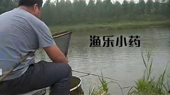 化绍新2013钓鱼视频,揭秘钓鱼高手技巧与心得