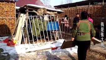 东北农村视频,东北农村生活画卷