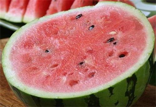 黑籽麒麟瓜可以吃吗,美味可口的健康佳品