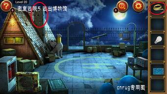 逃生视频攻略,视频揭秘生存技巧与逃生路线