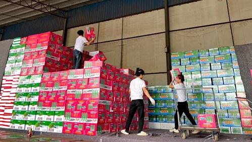 澄迈瓜菜今日收购价格表