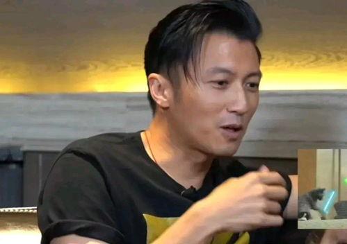 谢霆锋的视频,探寻地道风味背后的故事