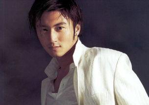 谢霆锋的视频,探寻地道风味背后的故事