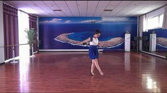 兔子舞 视频,欢快节奏下的活力展现