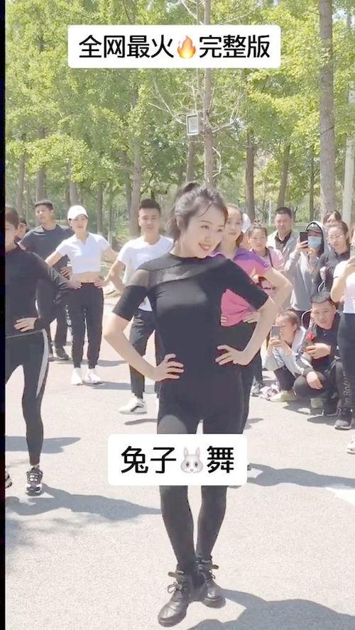 兔子舞 视频,欢快节奏下的活力展现
