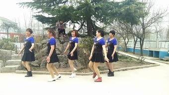 兔子舞 视频,欢快节奏下的活力展现