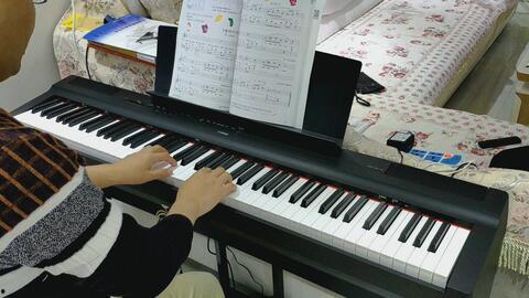 钢琴自学视频,轻松入门，掌握音乐之美